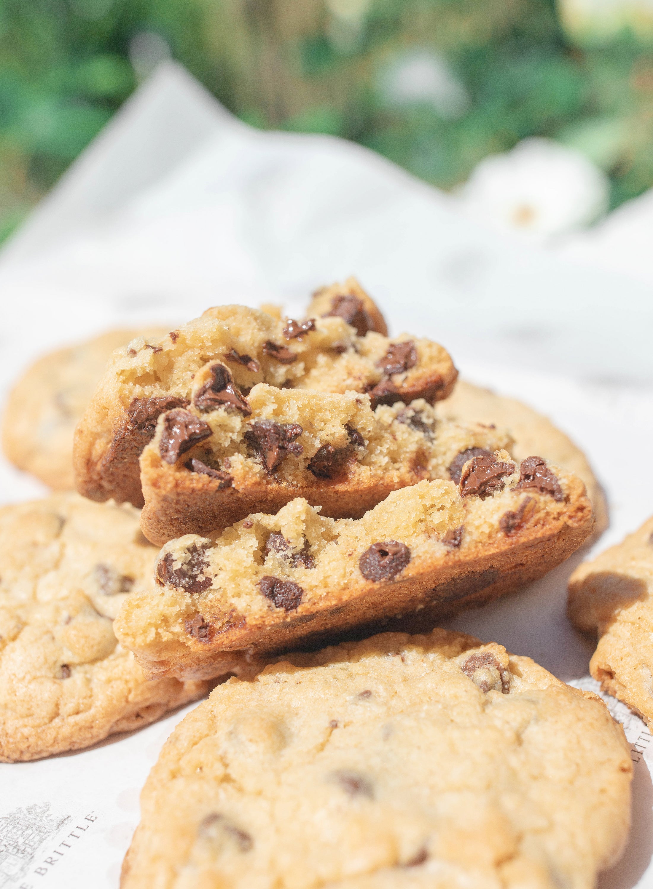 Gooey Chocolate Chip Cookies (Shipping Available)